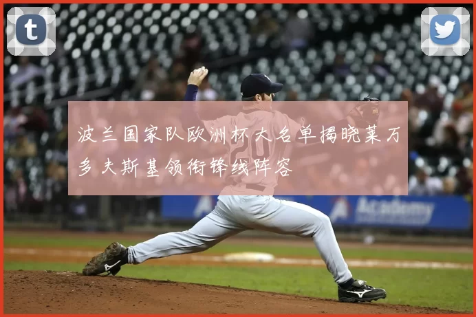 波兰国家队欧洲杯大名单揭晓莱万多夫斯基领衔锋线阵容