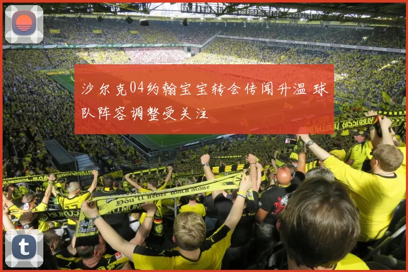 沙尔克04约翰宝宝转会传闻升温 球队阵容调整受关注