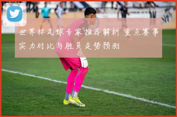 世界杯足球专家推荐解析 重点赛事实力对比与胜负走势预测