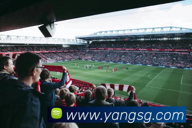 mksports - mk(中国)一站式体育服务官方网站APP 封面图